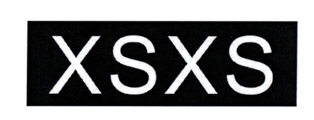 XS商標(biāo) 企業(yè)品牌戰(zhàn)略的核心資產(chǎn)與專業(yè)查詢代理服務(wù)指南